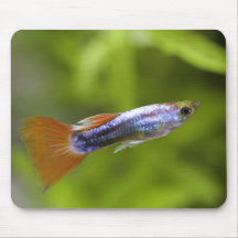 Guppy Mousepad