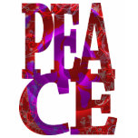 Guru of PEACE t-shirts