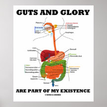 Guts And Glory Are Part Of My Existence Poster