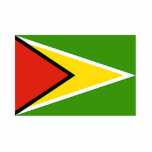 Guyana Flag Photo Cut-Out photo sculptures