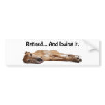 GVV Greyhound Retired and Loving It bumper stickers