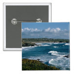 Gwithian Towans Pins