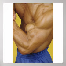 Gym Wall Poster - Colour 1