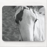 Gypsy Innocence mousepads