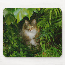 Gypsy Mouse Pad