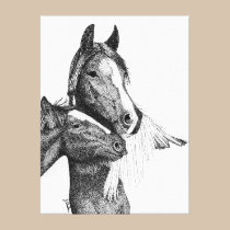 Gypsy Vanner Artwork canvas prints