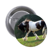 Gypsy Vanner buttons
