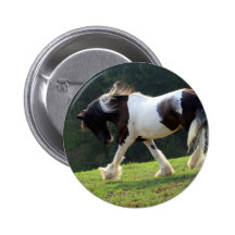 Gypsy Vanner Buttons