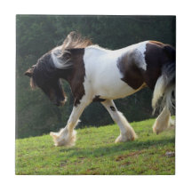 Gypsy Vanner Ceramic Tile