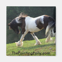 Gypsy Vanner Fridge Magnet