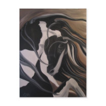 Gypsy Vanner I Postcards