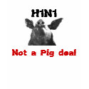 H1N1 - Not a Pig deal t-shirts