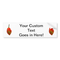 Habanero Single Pepper Photograph Bumper Stickers