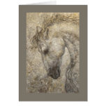 Habano the Andalusian horse card
