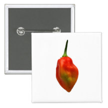 Habernero Single Pepper Photograph Buttons