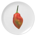 Habernero Single Pepper Photograph Plates