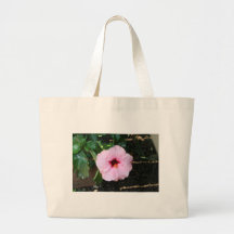 habicus bags