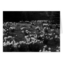 Hadlock's Garden #21 Card