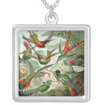 Haeckel Humminbird Necklace