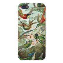 Haeckel Hummingbirds iPhone 5 Cover