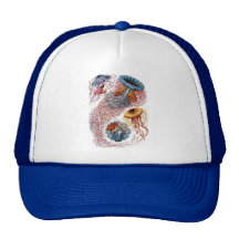Haeckel Jellyfish Hats