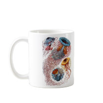 Haeckel Jellyfish Coffee Mugs
