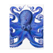 Haeckel Octopus Blue Post Cards