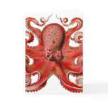 Haeckel Octopus Red cards