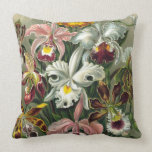 Haeckel Orchids Pillows