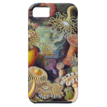 Haeckel sea anemones iPhone 5 case
