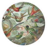 Haeckel Vintage Hummingbirds Illustration Party Plates