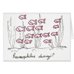 Haemophilus Ducreyi card