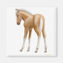Haflinger Foal Magnet