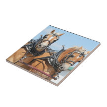 Haflinger Horses Tile