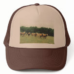 Haflingers Cap hats