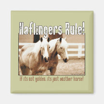 Haflingers Rule Fridge Magnet
