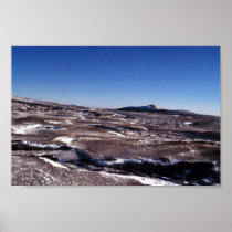 Hagemeister Island interior 1986 Print