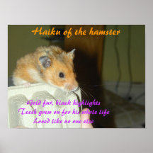 Haiku of the Hamster 1 Posters