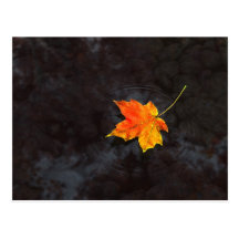 Haiku Postcard