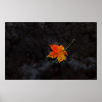 Haiku Posters