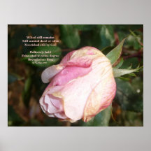 Haiku Posters by Tanya Ndip