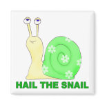 Hail the snail magnets