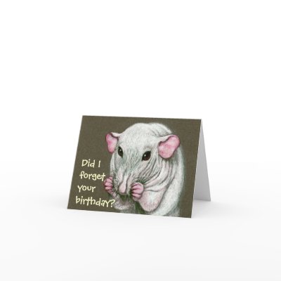 Hairless Rat, Forget Birthday? Greeting Cards by KMCoriginals