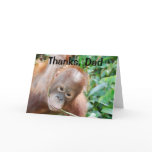 Hairline and Baldness Humour For Father From Son cards