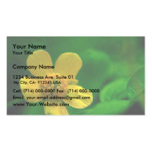 Hairy Buttercup Business Card Templates
