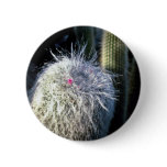 Hairy Cactus With Small Red Flower buttons