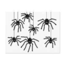 Hairy Cartoon Spiders Postcard