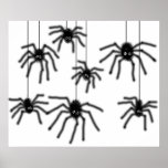 Hairy Cartoon Spiders Poster posters