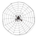 Hairy Spider in Web - Sticker