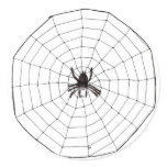 Hairy Spider in Web - Sticker